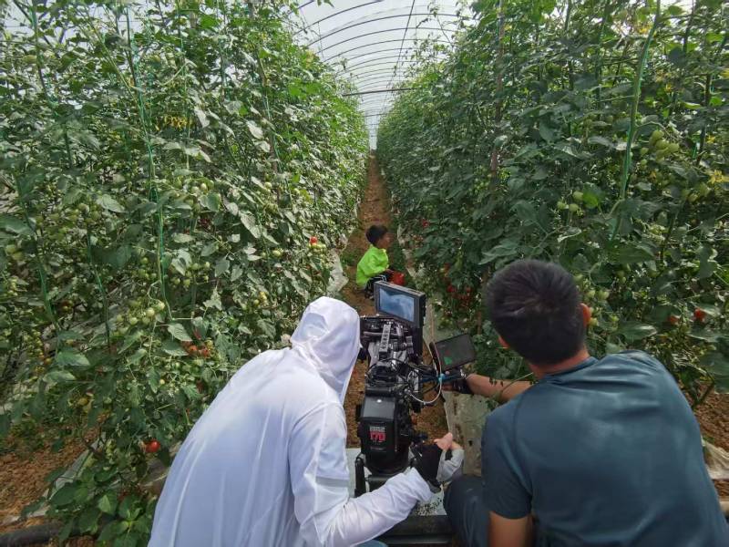 揭东区产品宣传视频拍摄公司进阶指南，助力品牌抢占传播高地